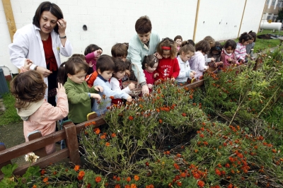 A consellería de Educación certifica a actividade dos coordinadores de traballos Voz Natura