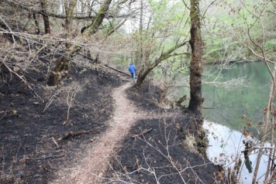 Pesar por el fuego en las Fragas do Eume