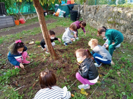 Plantando no Vila Laura 