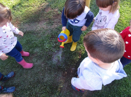 Árbores para a escola