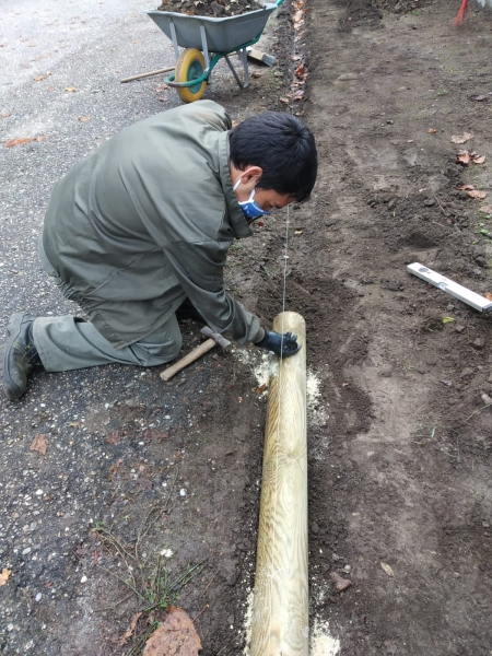 Trabajando e aprendiendo no Saladino Cortizo