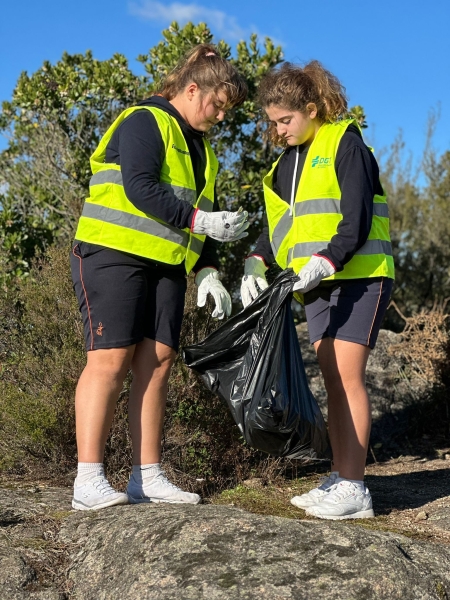 Ecovigilantes en acción