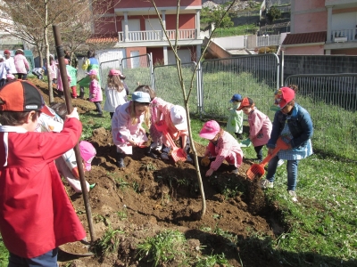 Premios provinciais e Premio Infantil Voz Natura