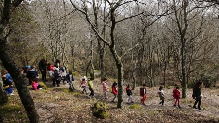 Voz Natura dedicará o próximo curso á preservación dos montes