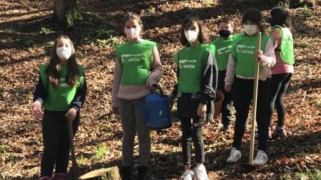 Os alumnos do Curros Enríquez, de Celanova, seguen coidando a  carballeira que recuperaron