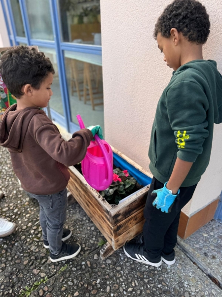 Cuidado de las plantas