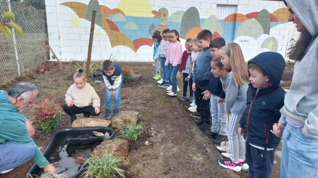 Un nuevo ecosistema