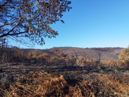 La huella de los incendios