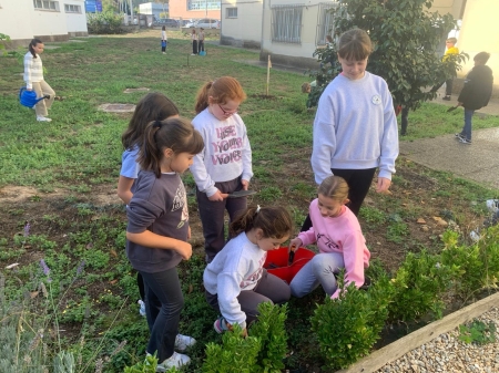 Cuidado los jardines del centro