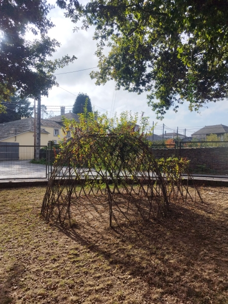 Construcciones naturales