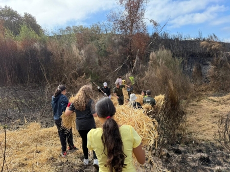 Alcochado tras los incendios