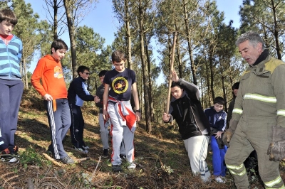Reforestacións Voz Natura por toda Galicia