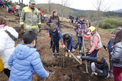 Actividades conmemorativas do 20 Aniversario de Voz Natura