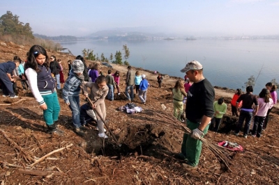 Las reforestaciones centran los trabajos en marzo