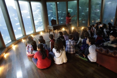 O Aquarium Finisterrae ofrece visitas e actividades específicas aos centros Voz Natura