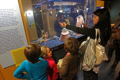 O Aquarium Finisterrae ábrese a Voz Natura
