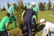 Voz Natura prepárase para pintar de verde Galicia reforestando os seus montes