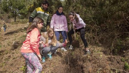 Voz Natura achégase á rechamante cifra de 200.000 árbores plantadas desde 1997