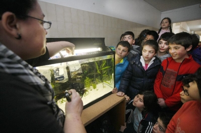 O colexio de Carril inaugura un acuario de peixes tropicais