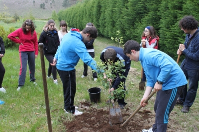 Voz Natura despide unha edición dedicada a reforestar os montes