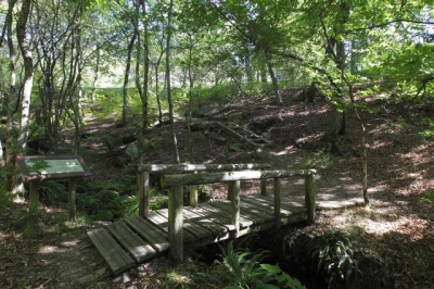 Os proxectos Voz Natura chegan a espazos protexidos de Galicia